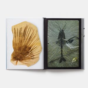 Evolution A visual record - Libro de fotografía sobre evolución