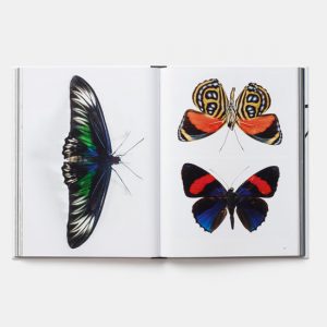 Evolution A visual record - Libro de fotografía sobre evolución