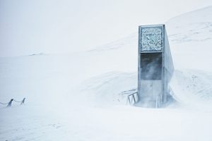 Un backup para la biodiversidad - The Svalbard Global Seed Vault.