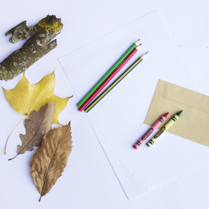 Guía de experimentos - Otoño.