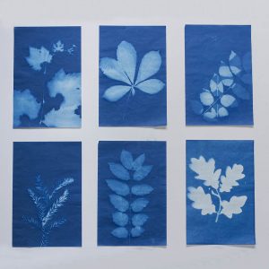 Sunprint Kit para cianotipias