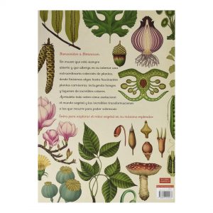 Botanicum Libro ilustrado plantas