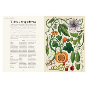 Botanicum Libro ilustrado plantas
