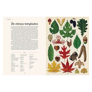 Botanicum Libro ilustrado plantas