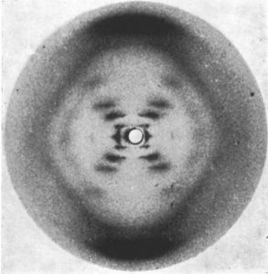 La científica del mes: Rosalind Franklin