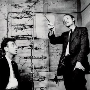 La científica del mes: Rosalind Franklin