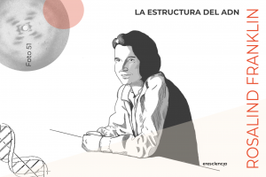 La científica del mes: Rosalind Franklin