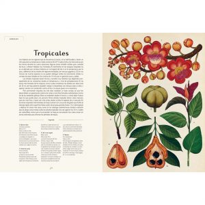 Botanicum Libro ilustrado plantas