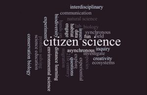 Las bacterias del ombligo y el poder de la ciencia ciudadana