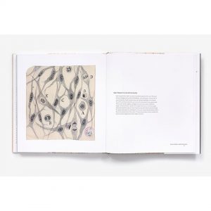 Beautiful Brain - El arte de Ramón y Cajal