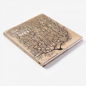 Beautiful Brain - El arte de Ramón y Cajal