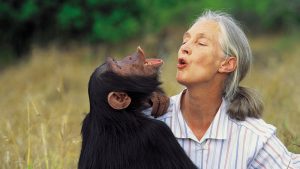 La científica del mes - Jane Goodall