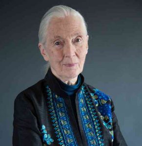 La científica del mes - Jane Goodall