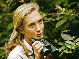 La científica del mes - Jane Goodall