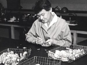 La científica del mes - Barbara McClintock Herencia Genética y transposones