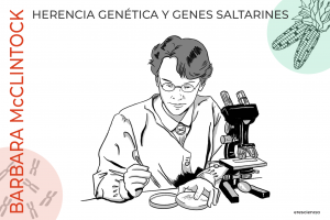 La científica del mes - Barbara McClintock Herencia Genética y transposones