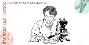 La científica del mes - Barbara McClintock Herencia Genética y transposones