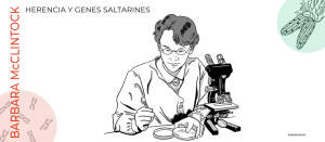 La científica del mes - Barbara McClintock Herencia Genética y transposones