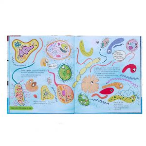 Desde entonces hasta ahora. Mi primer libro sobre la evolución