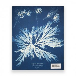 Sun gardens The cyanotypes of Anna Atkins.