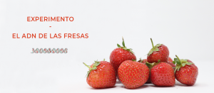 experimento extraer el adn de las fresas