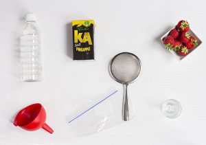 experimento extraer el adn de las fresas materiales