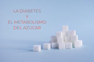 La diabetes y el metabolismo del azúcar