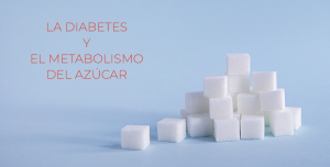 La diabetes y el metaLa diabetes y el metabolismo del azúcarbolismo del ázucar