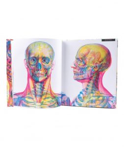 Libro ilustrado Iluminatomía