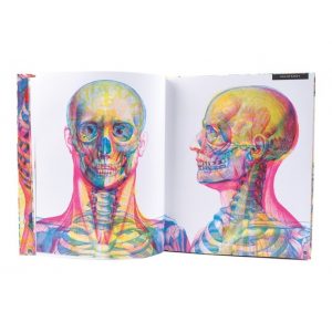 Libro ilustrado Iluminatomía