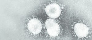 Guía básica sobre el coronavirus