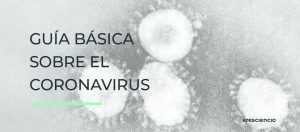 Guía básica sobre el coronavirus