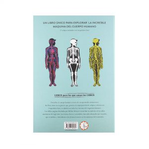 Anatomía Hélène Druvert