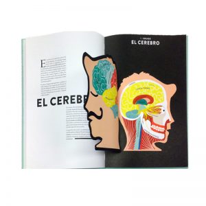 Anatomía Troquelados e ilustraciones para observar el cuerpo humano
