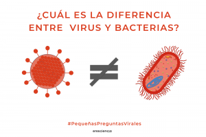 cual es la diferencia entre virus y bacterias