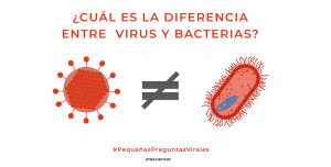 cual es la diferencia entre virus y bacterias