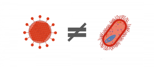 cual es la diferencia entre virus y bacterias