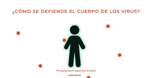 Cómo se defiende el cuerpo de los virus