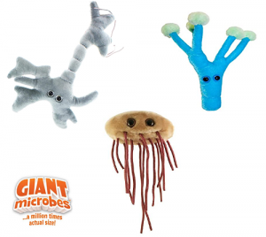 10 regalos cientificos para niños - peluches giantmicrobes
