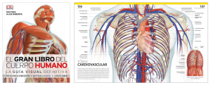 El gran libro del cuerpo humano