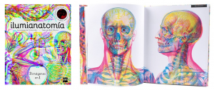 Ilumianatomia -