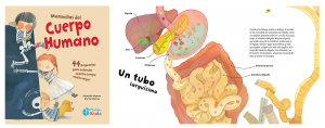 Maravillas del cuerpo humano