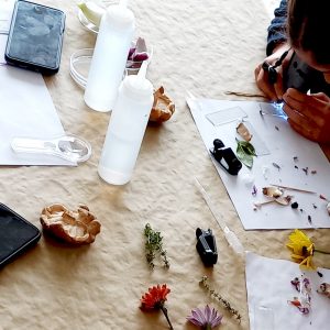 Taller un viaje microscópico - Un taller en familia para aprender a usar el microscopio y descubrir cosas increibles con él. .