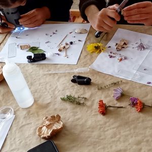 Taller un viaje microscópico - Un taller en familia para aprender a usar el microscopio y descubrir cosas increibles con él. .