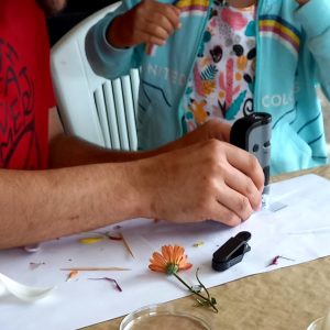 Taller un viaje microscópico - Un taller en familia para aprender a usar el microscopio y descubrir cosas increibles con él. .