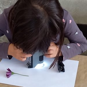 Taller un viaje microscópico - Un taller en familia para aprender a usar el microscopio y descubrir cosas increibles con él. .