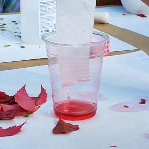 Taller Los colores de las hojas - EresCiencia