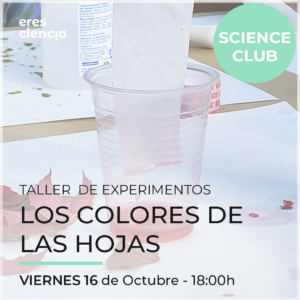 Taller Los Colores de las Hojas - Science Club (Viernes 16 octubre)