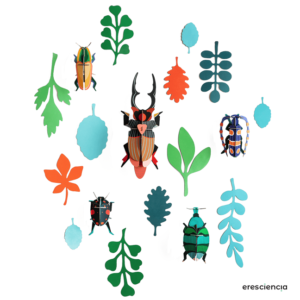 Studio Roof arte troquelable insectos y flores