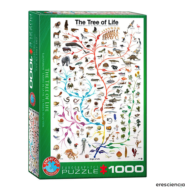 Puzle el arbol de la vida evolución
